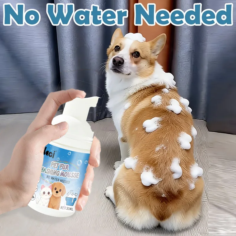 Instant Fresh Pet Dry Shampoo Foam - No-Rinse Plant-Based, One-Pump Wipe Care for Cats & Dogs, Daily Home Use, Tidy Messy Fur