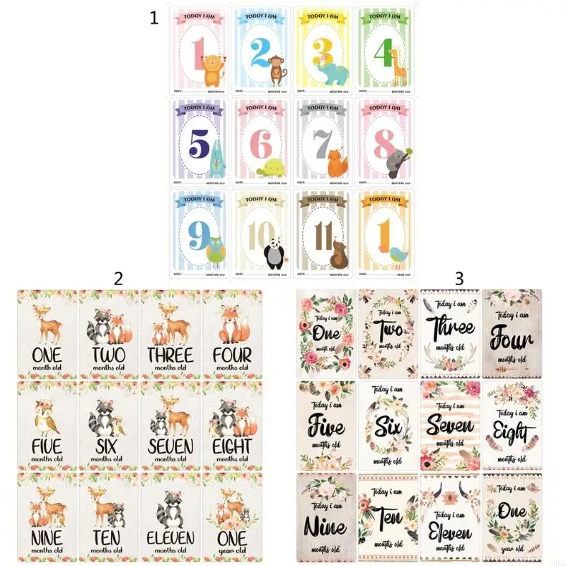 29EE 12 Sheet Baby Monthly Milestone Cards Birth to 12 Months Photo Prop Moment Cards