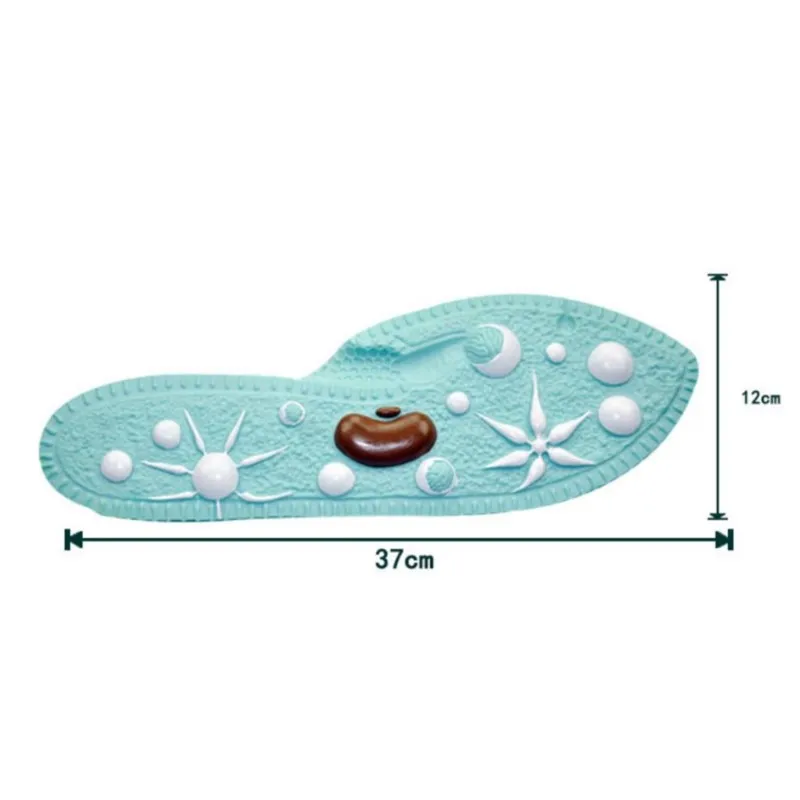 نموذج Paramecium البلاستيك Paramecium نموذج J33103 أداة تعليم العلوم وسائل تعليمية