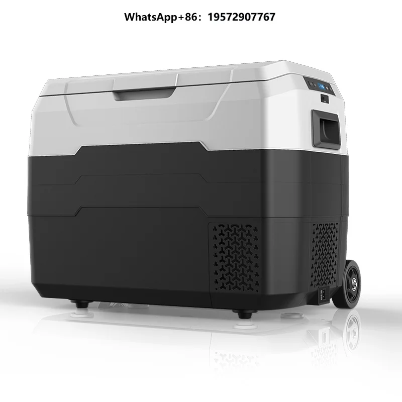 High Quality Durable Using Various ALG-40,50 Mobile Cold Chain Car Refrigerator Car Refrigerator with Compressor