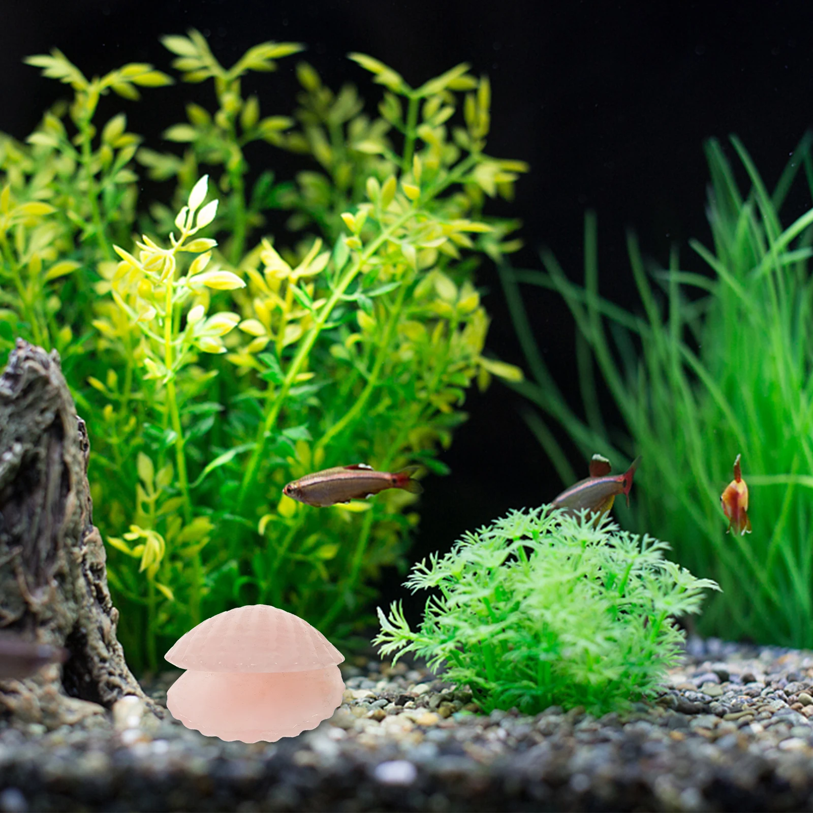 

1 Piece Pink Ornament Natural Seashells for Crafting DIY Home Decor Fish Tank Aquarium Decoration Ocean Themed