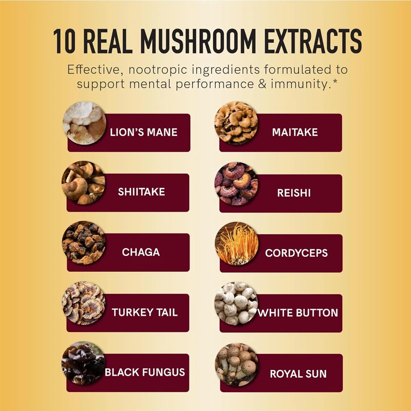 Mushroom mixture gummies 10 in1 Lion mane with turkey tail and other ingredients to support cognitive function and immune health