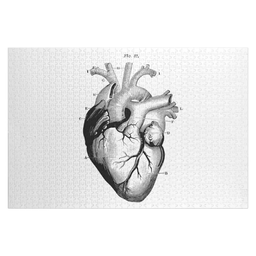

VINTAGE ANATOMICAL HEART (BLACK) Jigsaw Puzzle Christmas Toys Custom Child Wooden Adults Personalized Baby Toy Puzzle