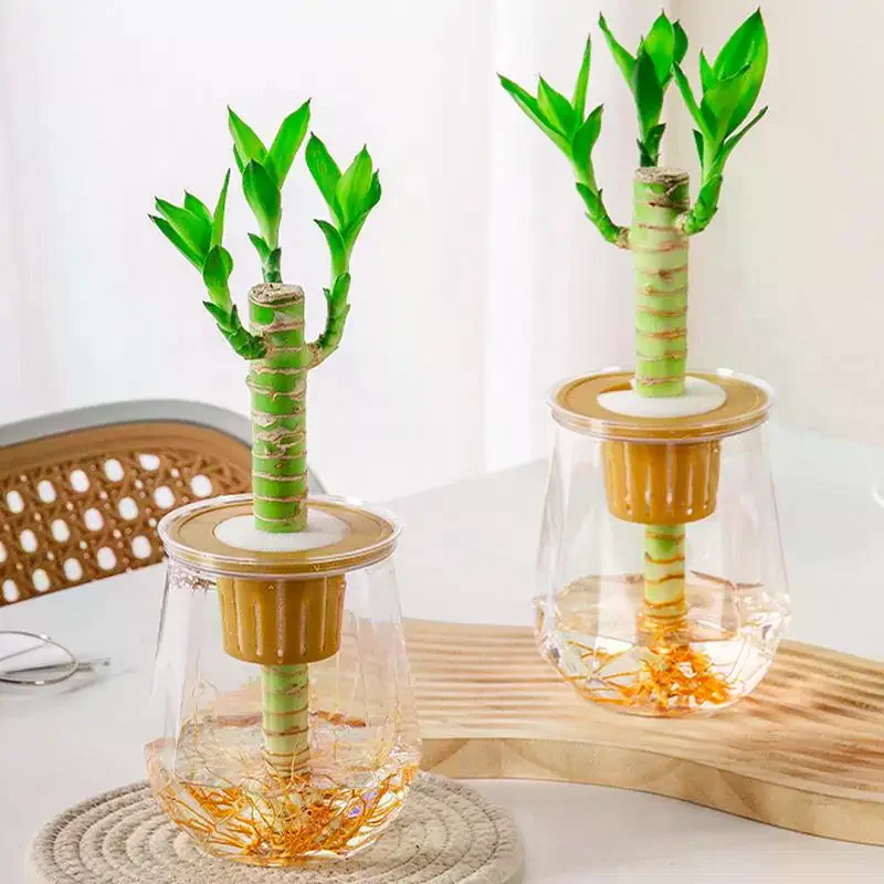 Mini Self Watering Flower Pot Fish Tank Transparent Plastic Plant Pots Self Watering Planter Pot Vase For Home Decoration