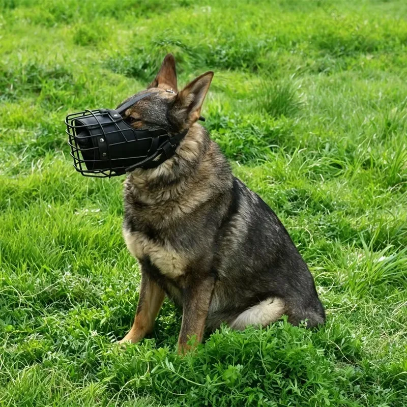 Adjustable Bulldog Muzzle - Stainless Steel and Leather Anti-Bite, Durable and Breathable Training Muzzle