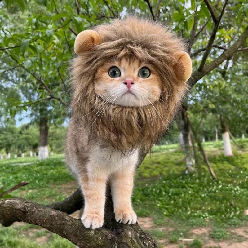 Cat Lion Mane Halloween Costume Lion Costume Cat Cosplay Dress Up Pet Hats For Small Cats And Kittens Party Decoration