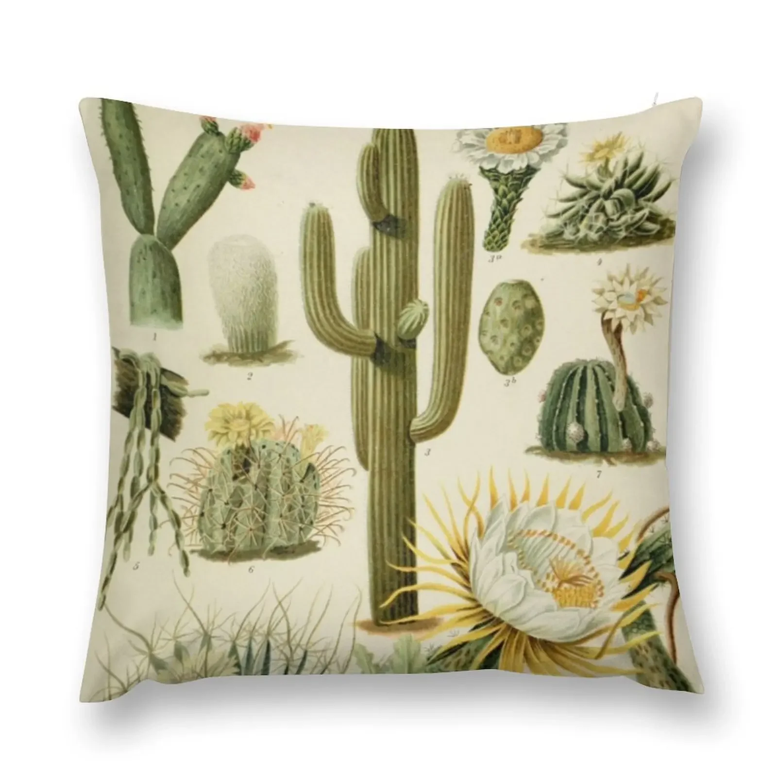 Naturalist Cacti Throw Pillow christmas pillow case Throw Pillow