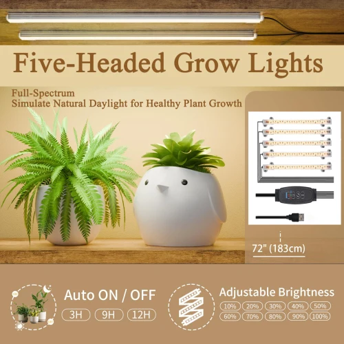 68.5