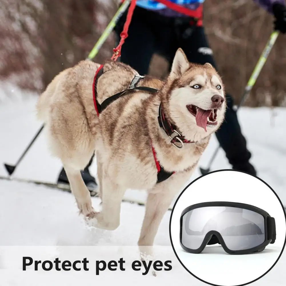 

Dog Glasses for Car Rides Uv Protection Dog Glasses Protective Pet Eyewear Waterproof Windproof Dog Goggles for Eco-friendly