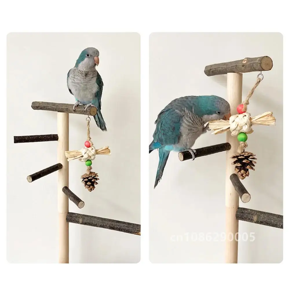 Bird Playground Parrot Natural Wood Perch Stand with Stainless Steel Tray Ladder Feeding Cup For Bird Supplies Accessories