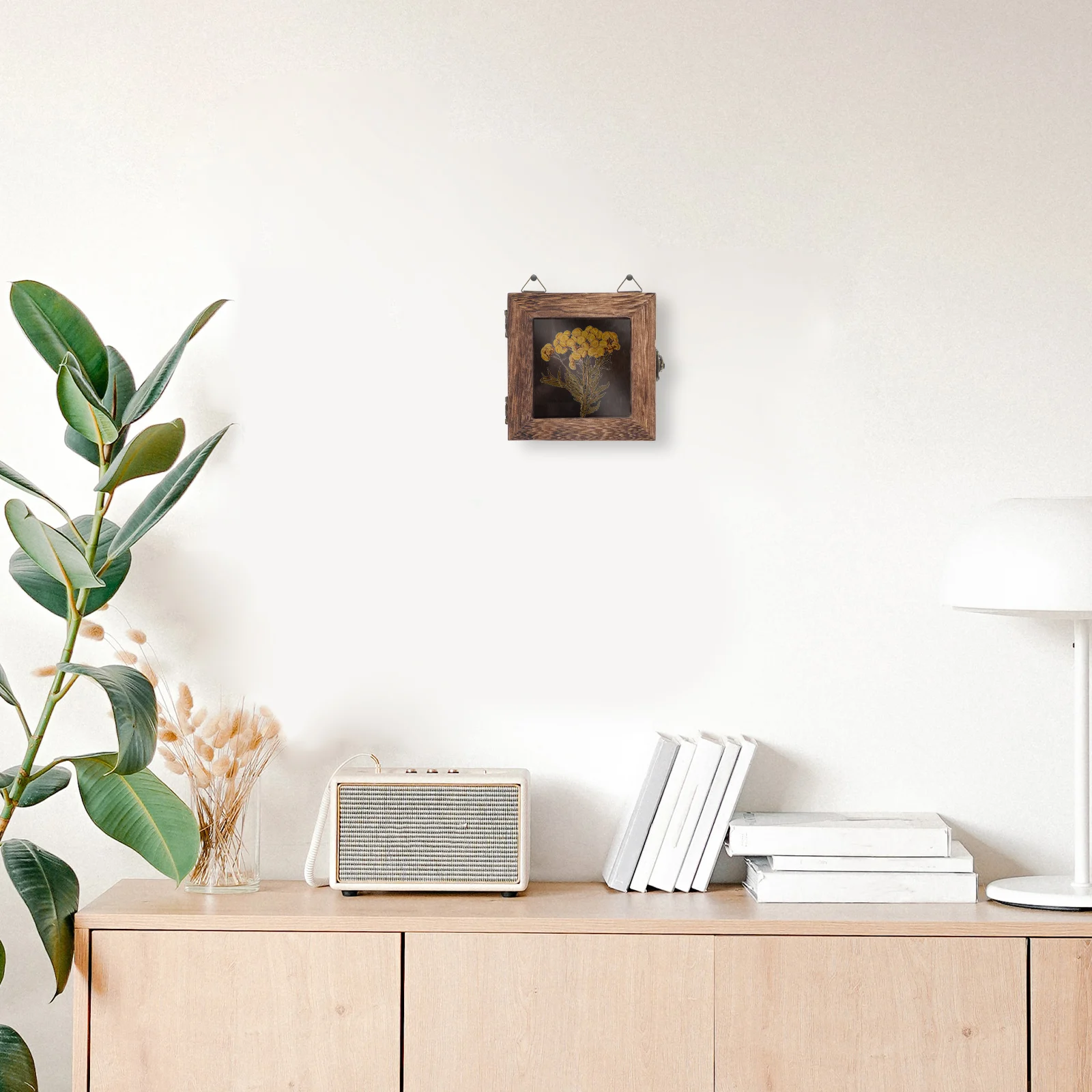 

Insect Display Box Butterfly Specimen Hanging Wall Dried Flower Storage Frame Decorative Photo Display Case for Home Cafe Bar