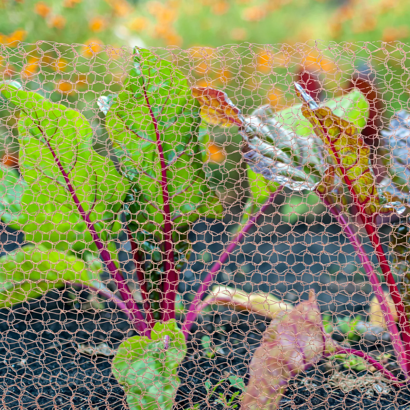 شبكة نحاسية 3 متر مرنة مقاومة للدموع مقاومة للصدأ الحياكة صافي مانع لحديقة القواقع الآفات القوارض الحشرات التحكم الحلزون