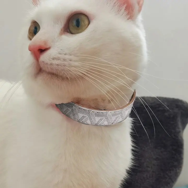 PU Leather Dog Collar Cute Cat Necklace Personalized Collars for Cats Dogs Leash Pets Supplies Dog Harness Puppy Accessories