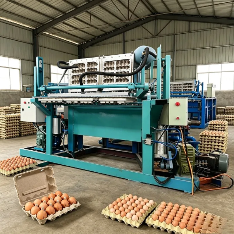Low Investment Waste Paper Pulp Moulding Plant Small Egg Tray Making Machine for Sale