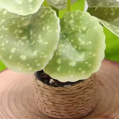 1/12 Dollhouse Simulation Green Plants Potted Model Dollhouse Mini Garden Decoration Toy Micro Landscape Bonsai Ornament