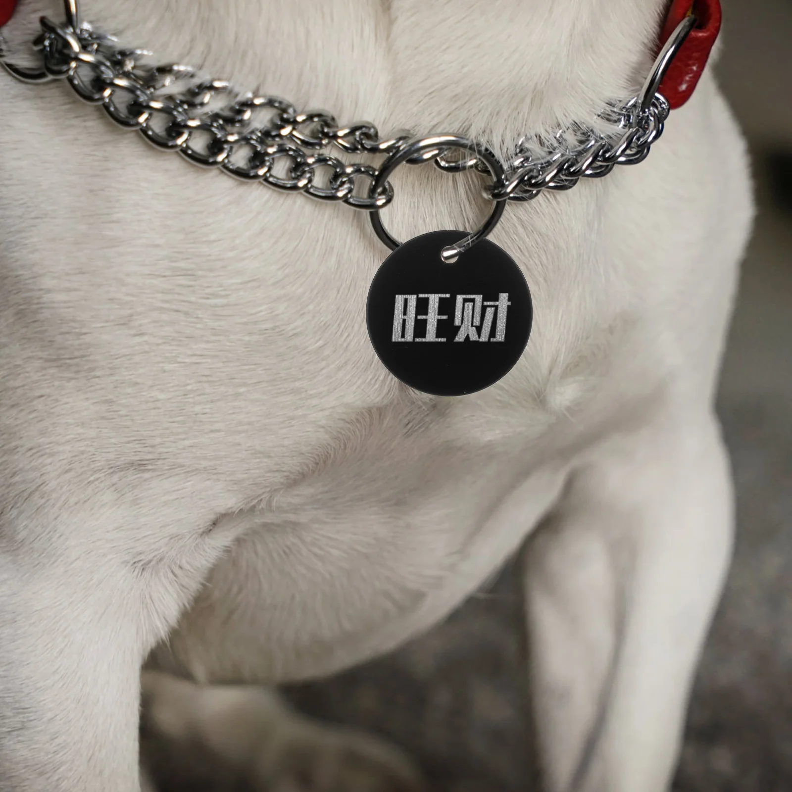 

25 pcs Aluminum Alloy Pet Round Blank Id Tags For Dogs Puppies Durable Lightweight Diy Engraving Tags Fashion Colorful