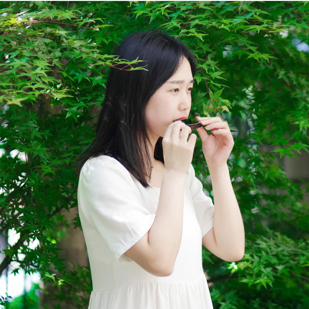 

10 Harmonica Mouth Jew's Harp Music Instruments Diatonic Mundharmonika Neck Holder Adults Harmonicas Hamonika Cradle