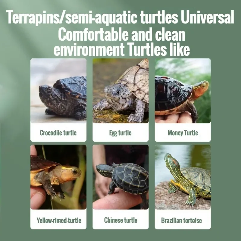 Transparent Turtle Tank Portable Turtle Box Terrariums Small Fish Tank Goldfish Reptile Snail Pet Rearing Boxes Pet Products