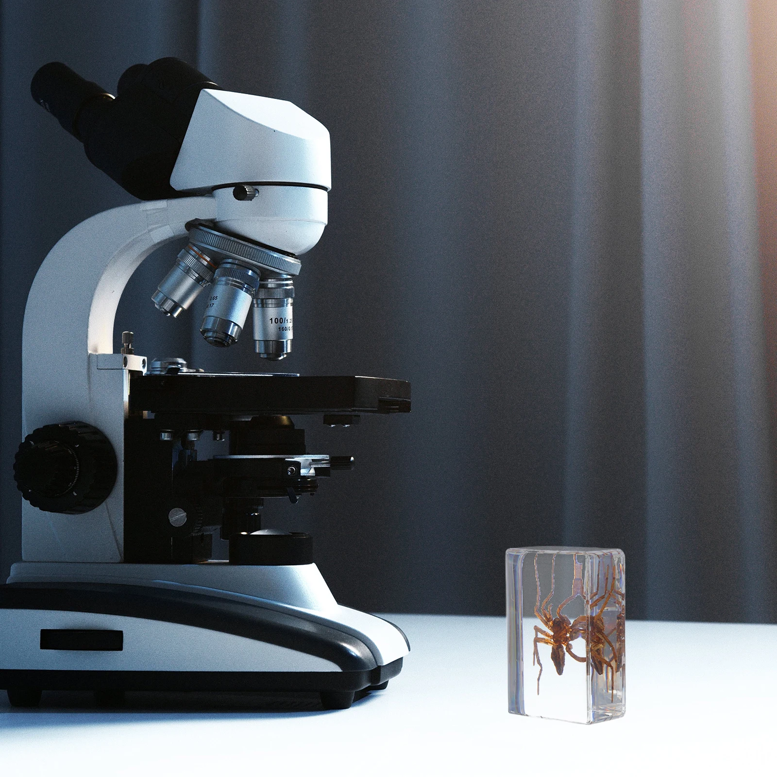 

6pcs Specimens Transparent Bug Collection Paperweights Science Education Biological Crafts Office Desk Display Animal Specimen