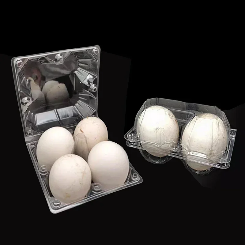 Plastic Goose Egg Tray Disposable Clear Plastic 4 Holes Large Size Wild Goose Egg Storage Box Separate Supermarket Package Boxes