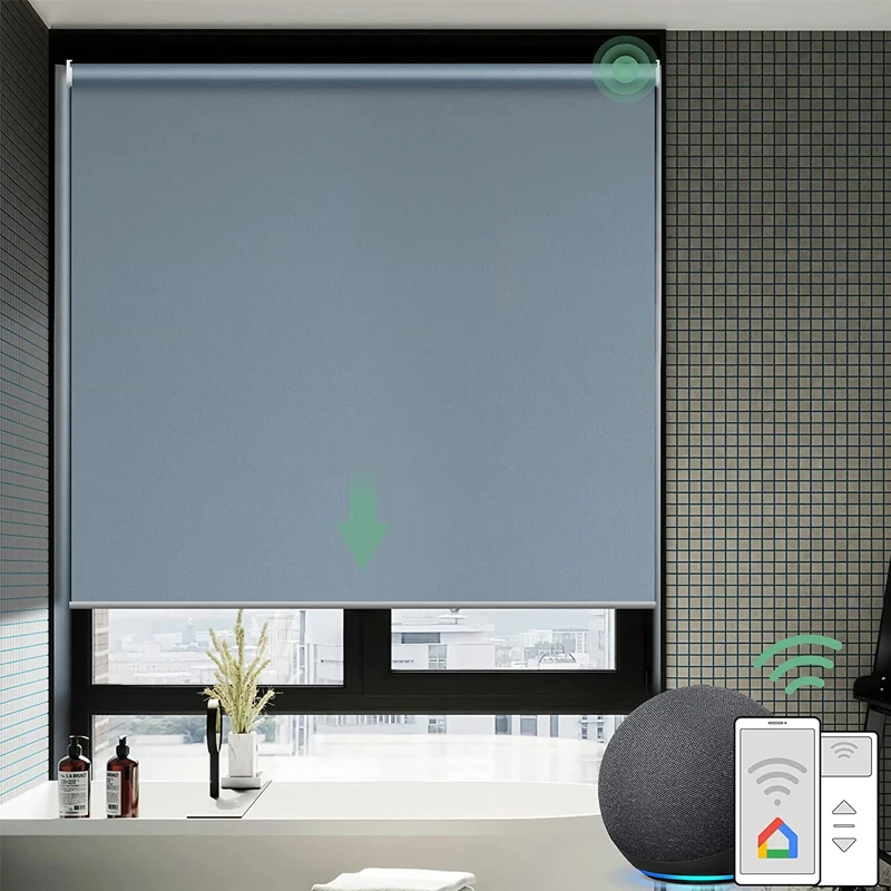 Popular Light Filtering Shading Day and Night Polyester Smart Roller Shades Blinds for French Windows
