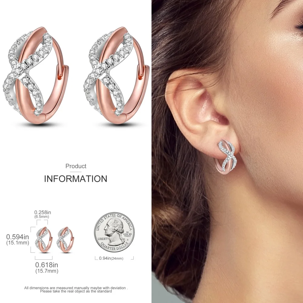 925 Sterling Silver Hot Rose Gold Geometry Series Jewelry Fashion Zircon Circle Hoop Earrings For Women Jewelry Gift Accessories