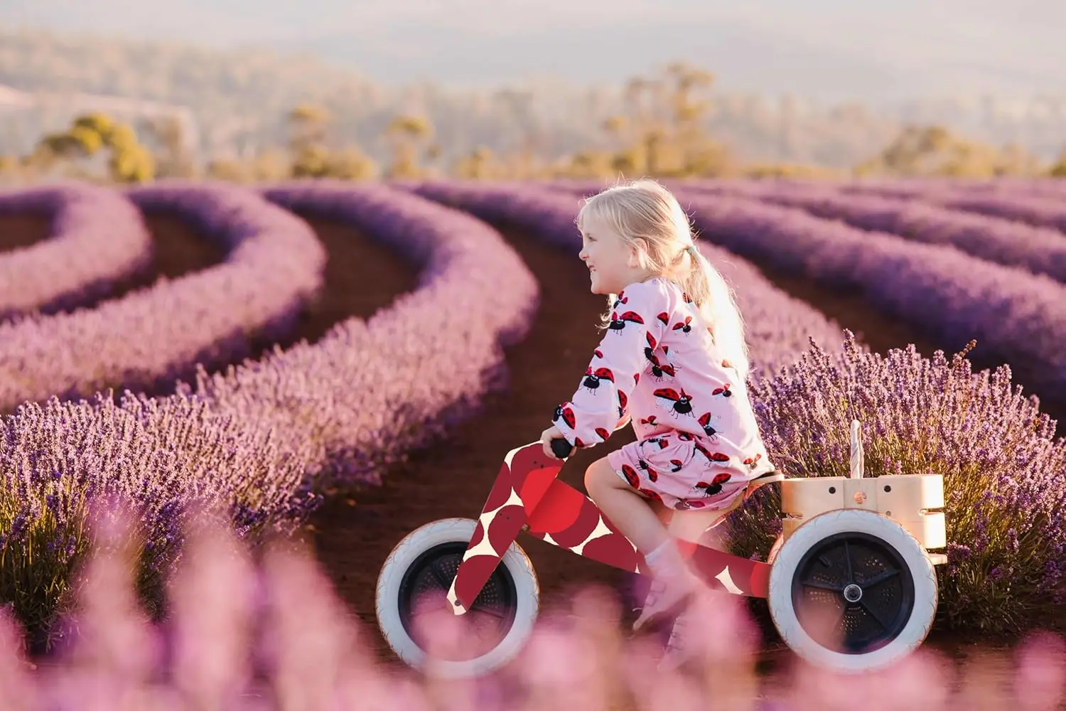 3in1 Designer Wooden Balance and Walker, Ages 1 to 5 Years (Red Spot 3in1)