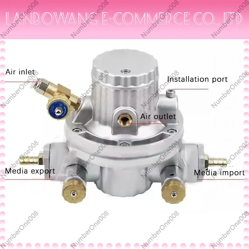 Suitable for Pneumatic One-way Diaphragm Pump Printer Ink Pump