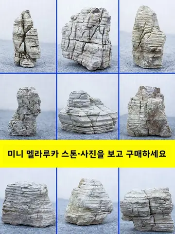 프리미엄 천층석 장식용 수족관 장식 천층석 프리미엄 장식용 수족관 장식 천층석 장식용 수족관 장식 천층석 장식용