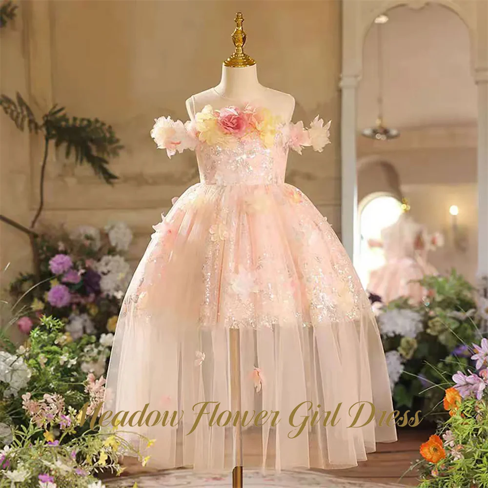 Meadow Blush Pink Wedding Gown for Girls 3-13 Years Old Off Shoulder Baby Kids Birthday Gown Floor Length Girls Princess Gown