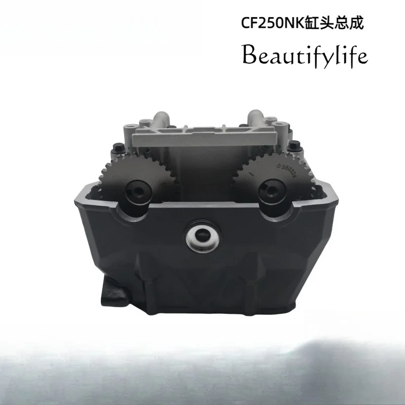 Motorcycle engine cylinder heads are compatible with CF250NK cylinder head 250SR nk250 cylinder head assemblies CF172MM