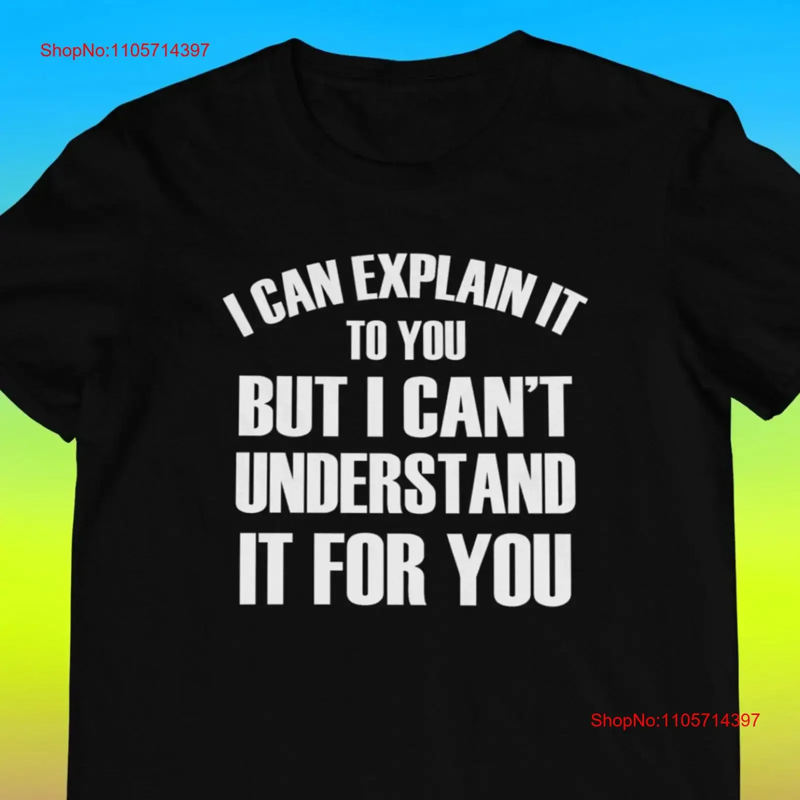 Offensive T Shirt I Can Explain It To You But Can't Understand Rude Funny vintage Washed Stylish Stretched Versatile homme
