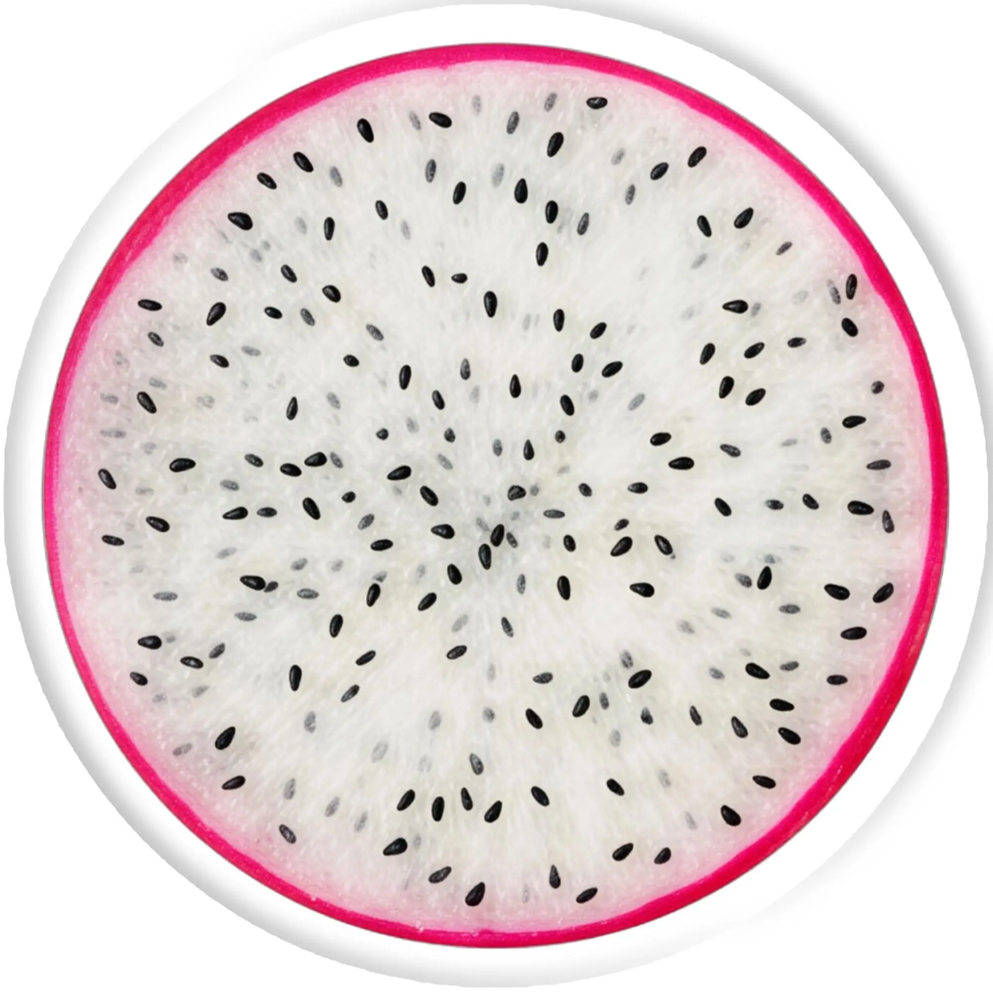 Customized Humorous Colorful Summer Fruit  Throw Pillows Soft Vivid Plush Cushions for Bed Sofa Decoration Home