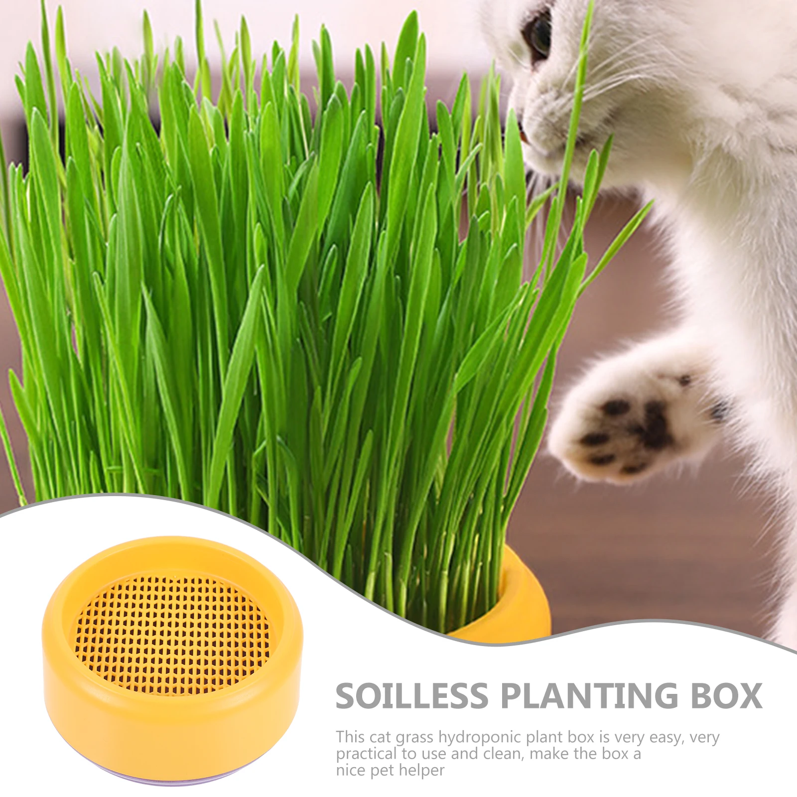

Cat Plant for Pet Grass Planting Box Household Planter Treats Hydroponic Container Catnip