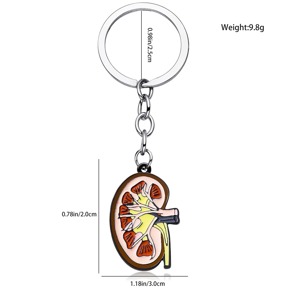 medical kidney organ keychain anatomy urology surgeon nurse medical student jewelry enamel key pendant