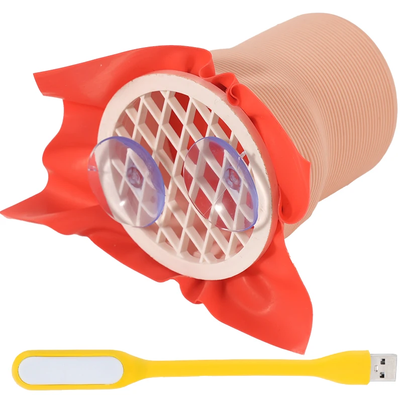 

Стоматологическая модель швов полости рта/десьмента, имитация швов полости рта, модель стоматологического обучения, обучающие инструменты