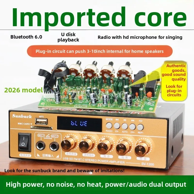 Imported Chip High-power 6.0 Bluetooth Amplifier Receiver USB Drive Microphone Singing Lossless Sound Quality 12v Universal 220V