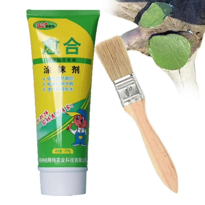 Tree Sealer Plant Tree Wound Healing Sealant With Brush Multifunction Tree Wound Pruning Sealer Bonsai Gardening Sealer Pruning