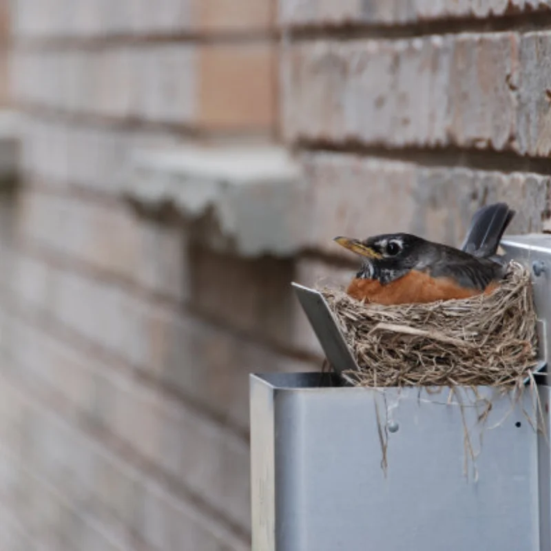 4 قطعة/الوحدة المطاط RC 1/10 عربات التي تجرها الدواب عجلات وإطارات 12 مللي متر عرافة محور جبل ل RC على الطرق الوعرة سيارة HSP HP