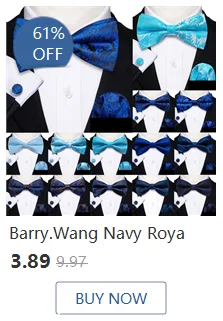 Barry.Wang Jacquard Seide Herren Schal Blumen Paisley stilvolle Burgunder Gold grün rot blau lila für männliche Hochzeit Business Party – Detail 34