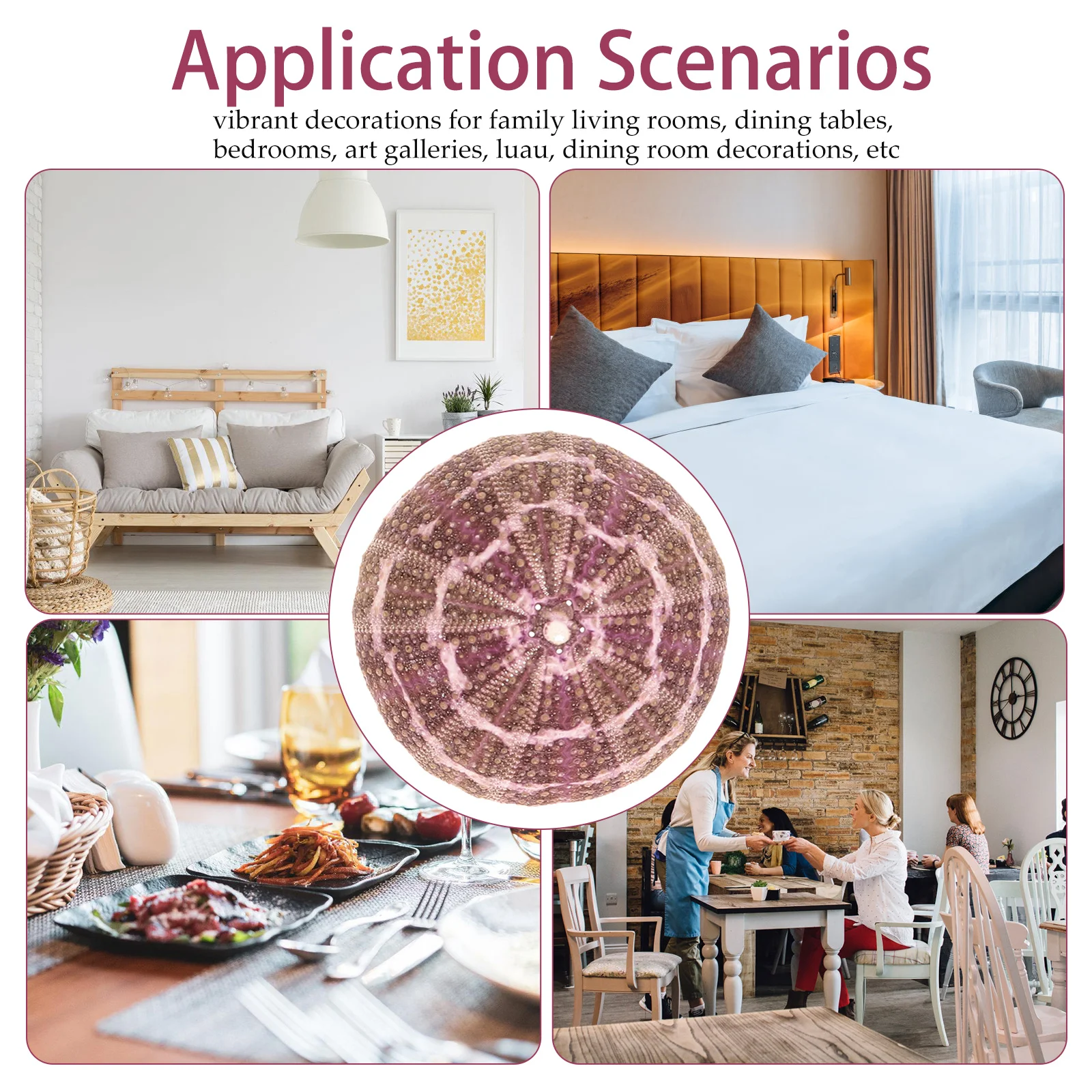 

7pcs Natural Sea Urchin Shell Air Plant Holders Mini Flower Pots For Succulents Desktop Decor Aquarium Landscape Home Garden