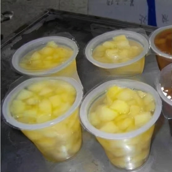 KIS-1800 Rotary Aut…