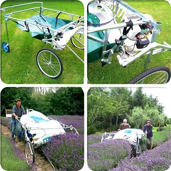 New Type Flower Harvesting Machine Lavender Harvester for Sale