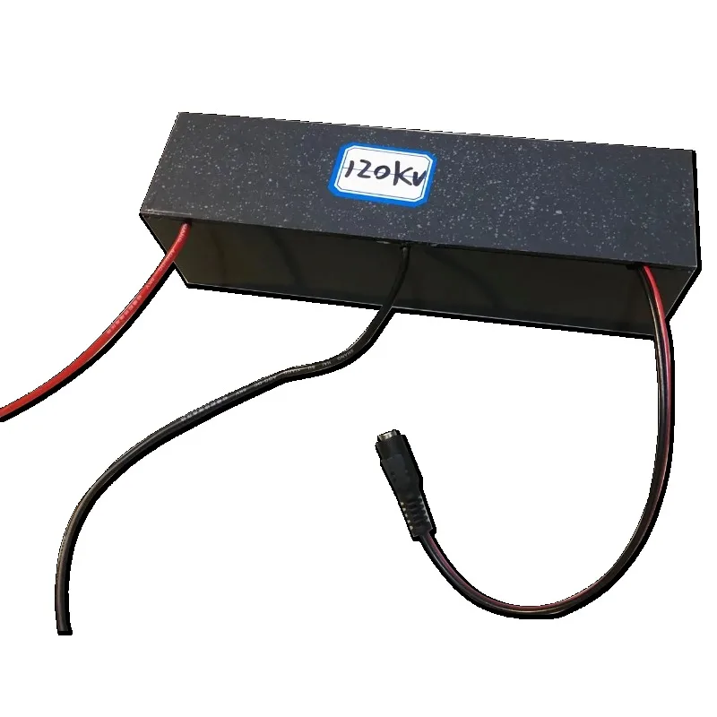 Electrostatic Generator Scientific Research Industrial Grade 120KV Core High Voltage Module High Voltage Electret Accessory