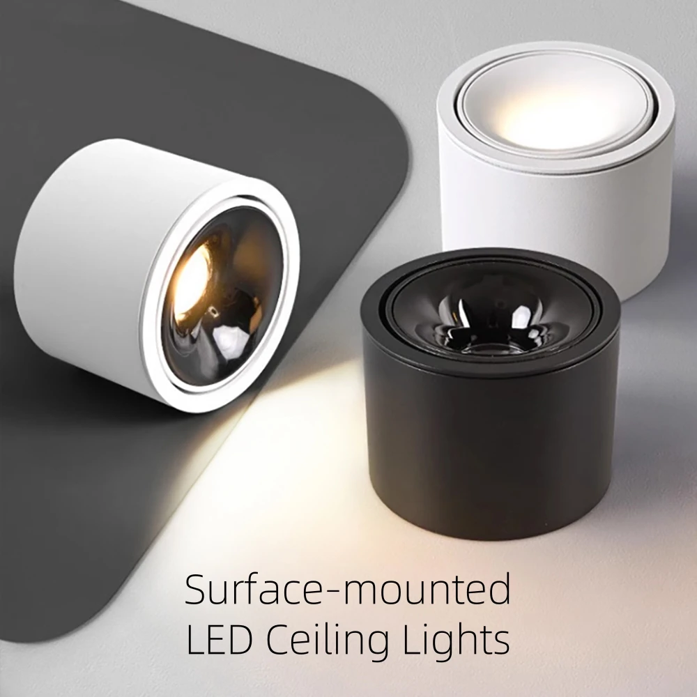 Dimmable LED Surface-Mounted Ceiling Light Downlight Spotlight Adjustable Brightness Modern Design for Home Commercial Lighting