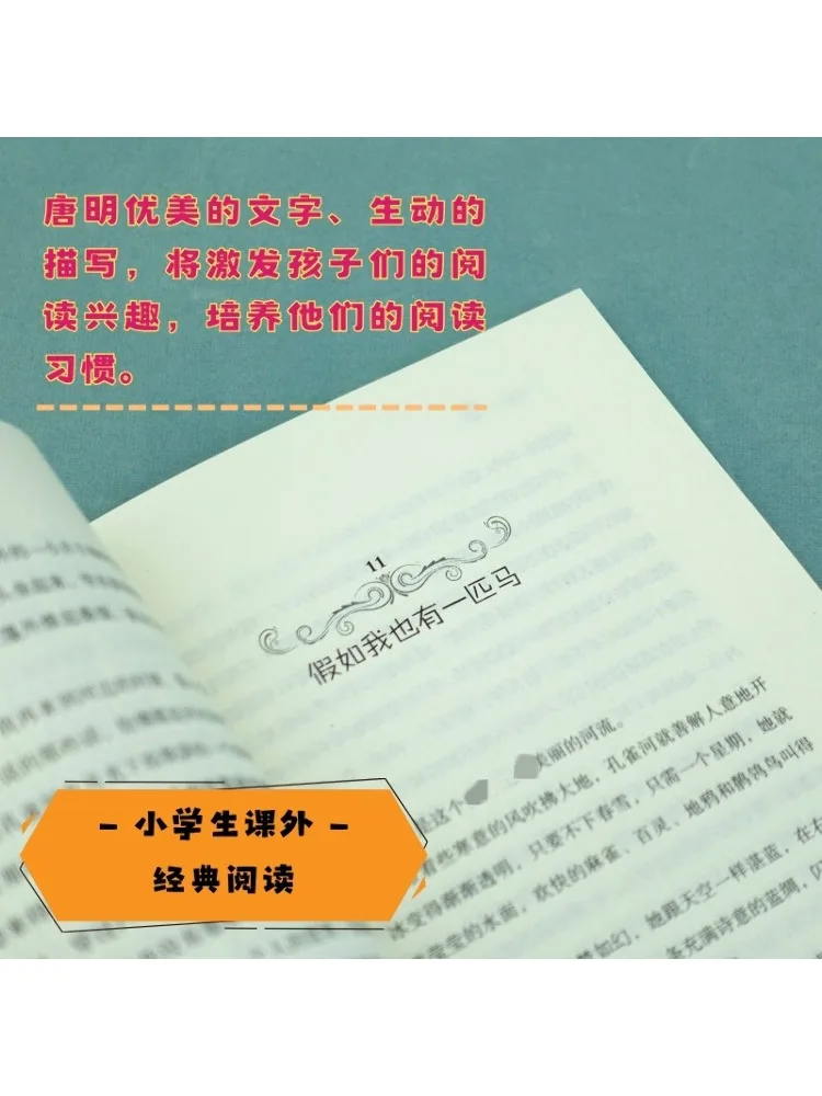 북-윈쉐어 공작강의 여름