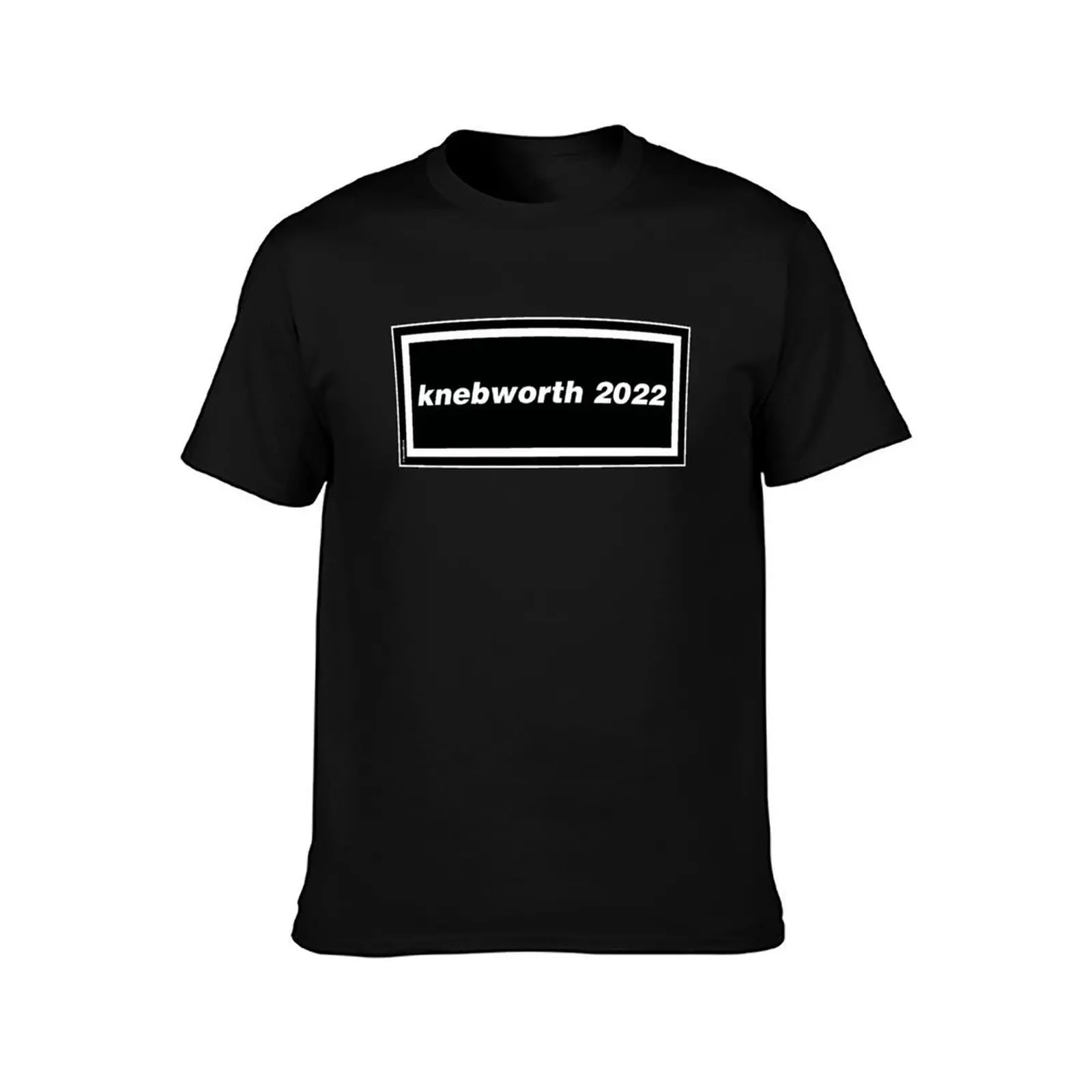 Knebworth 2022 - Oasis Liam Gallagher 90s Band Artwork T-Shirt Work Wear Simple Tee Shirt T-Shirt