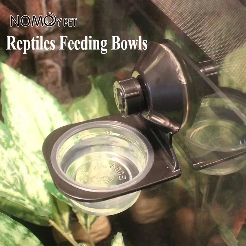 Repteis Acessorios Single Watering Bowl Reptile Stationary Hanging Food and Water Basin Suitable for Snakes Lizards Horned Frogs