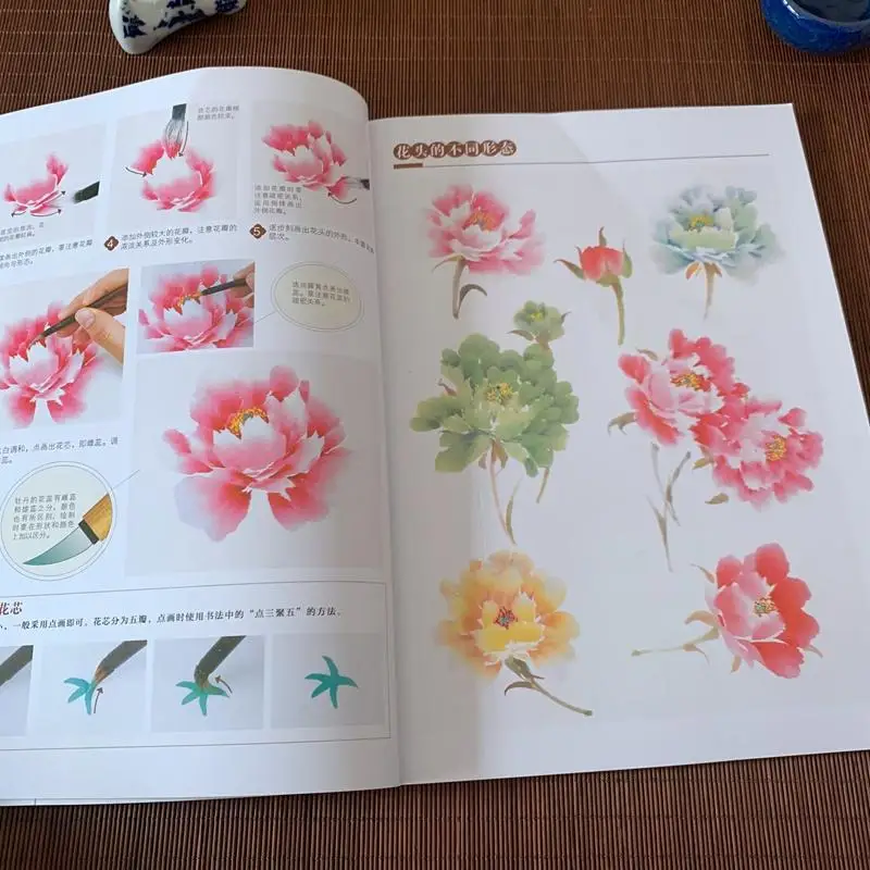 Traditional Chinese Painting Basic Tutorial Book Flower Bird Fish Insect Freehand Painting Album Introductory Teaching Material