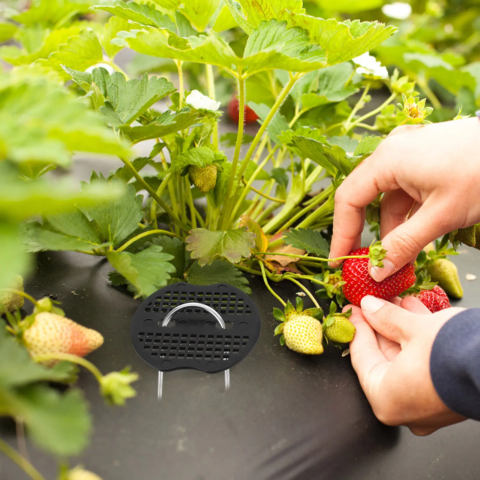 

50 комплектов U-образных металлических колышков для газона, легкие, для крепления ландшафтной ткани, фиксации палаток, садовые гвозди